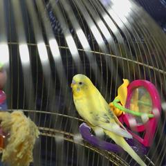 Отель Олива, Москва, Московская область