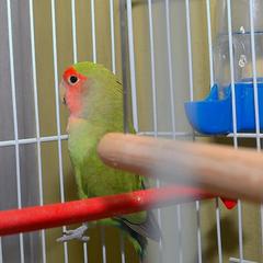 Отель Олива, Москва, Московская область