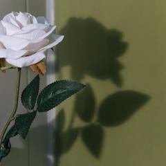 Отель Олива, Москва, Московская область