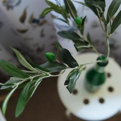 Отель Олива, Москва, Московская область