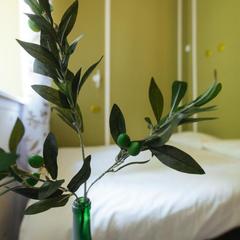 Отель Олива, Москва, Московская область