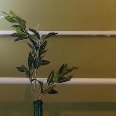 Отель Олива, Москва, Московская область