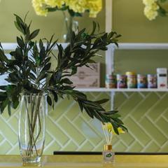 Отель Олива, Москва, Московская область