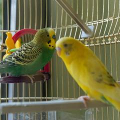 Отель Олива, Москва, Московская область