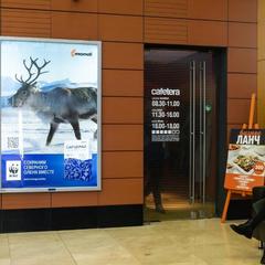 Мини-отель Апельсин Экспо на Красной пресне, Москва, Московская область