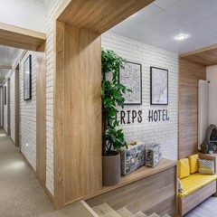 Отель Trips, Москва, Московская область