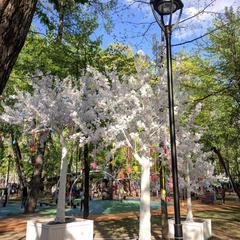Отель Гипноз на Цветном, Москва, Московская область