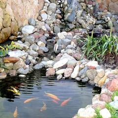 Отель Корал Фэмили, Мостовской, Краснодарский край