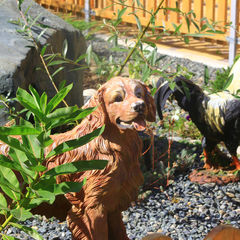 База отдыха Анастасия, Мостовской, Краснодарский край