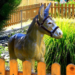 База отдыха Анастасия, Мостовской, Краснодарский край