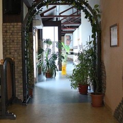 База отдыха Старая мельница, Мостовской, Краснодарский край