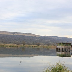 База отдыха Анастасия, Мостовской, Краснодарский край