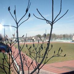 Отель Корал Фэмили, Мостовской, Краснодарский край