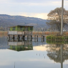 База отдыха Анастасия, Мостовской, Краснодарский край