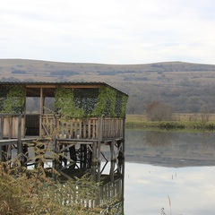 База отдыха Анастасия, Мостовской, Краснодарский край