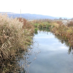 База отдыха Анастасия, Мостовской, Краснодарский край