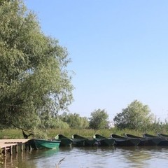 Рыболовная база Рыболовная база База 10, Мумра, Астраханская область