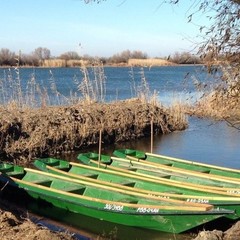 Рыболовная база Рыболовная база База 10, Мумра, Астраханская область