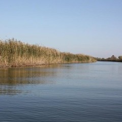 Рыболовная база Рыболовная база База 10, Мумра, Астраханская область