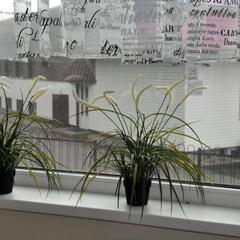 Гостевой дом Три Зайца, Мурманск, Мурманская область