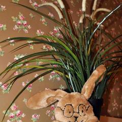 Гостевой дом Три Зайца, Мурманск, Мурманская область