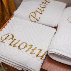 Гостиница Риони, Муром, Владимирская область