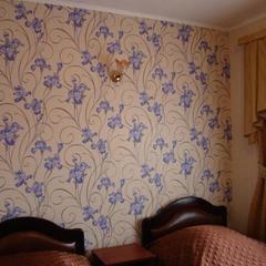 Гостинично-ресторанный комплекс Вирсавия, Муром, Владимирская область