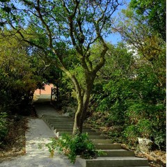 Отель Мысхако, Мысхако, Краснодарский край