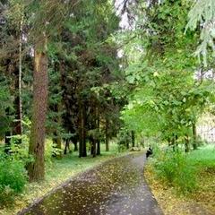 Санаторий Подлипки, Мытищи, Московская область