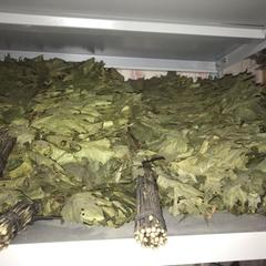 Гостевой дом Вива Виктория, Мысхако, Краснодарский край