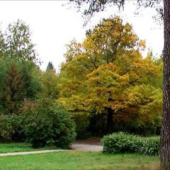 Санаторий Подлипки, Мытищи, Московская область