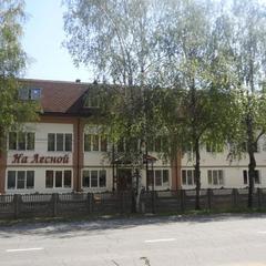 Гостевой дом На Лесной, Мышкин, Ярославская область