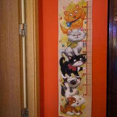 Отель Кошкин дом, Мышкин, Ярославская область