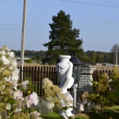 Гостевой дом Волга, Мышкин, Ярославская область