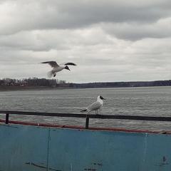 Гостевой дом Мышкин Двор Барабанов, Мышкин, Ярославская область