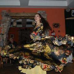 Отель Кошкин дом, Мышкин, Ярославская область