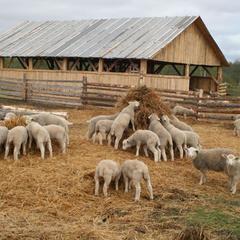 Гостевой дом Зеленая миля, Мышкин, Ярославская область