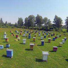 Гостевой дом Зеленая миля, Мышкин, Ярославская область