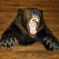 Гостевой дом Мышкин Двор Барабанов, Мышкин, Ярославская область