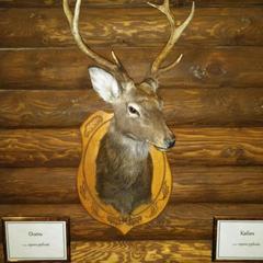 Гостевой дом Мышкин Двор Барабанов, Мышкин, Ярославская область