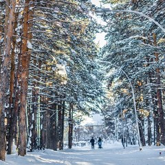 Отель Татарстан, Набережные Челны, Татарстан