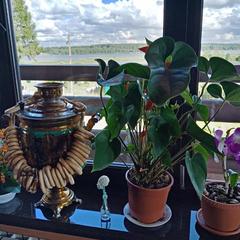 Гостевой дом Мышкин Двор Барабанов, Мышкин, Ярославская область