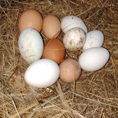 Гостевой дом Мышкин Двор Барабанов, Мышкин, Ярославская область