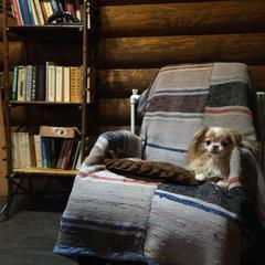 Гостевой дом Мышкин Двор Барабанов, Мышкин, Ярославская область