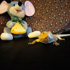 Гостевой дом Мышкин Двор Барабанов, Мышкин, Ярославская область