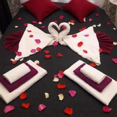 Гостиница Авиатор, Наро-Фоминск, Московская область