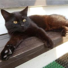 Отель Канадский уголок, Наро-Фоминск, Московская область