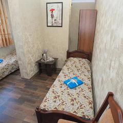 Гостиница Авиатор, Наро-Фоминск, Московская область