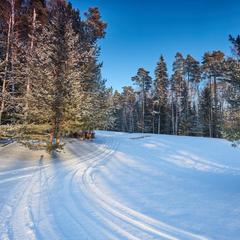 Загородный отель Moscow Country Club, Нахабино, Московская область