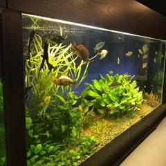 Отель Горизонт, Находка, Приморский край